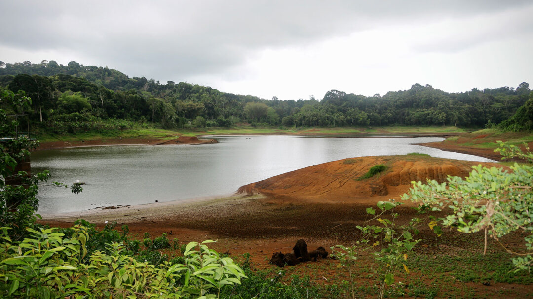 η-κλιματική-κρίση-σε-αριθμούς-οι-πλούσ-562747339
