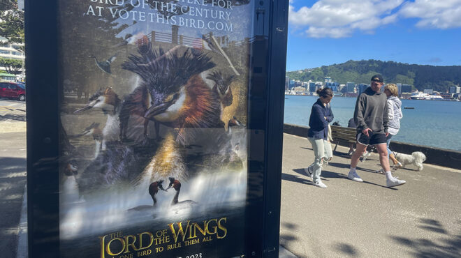 ο-βασιλιάς-των-πουλιών-562728889