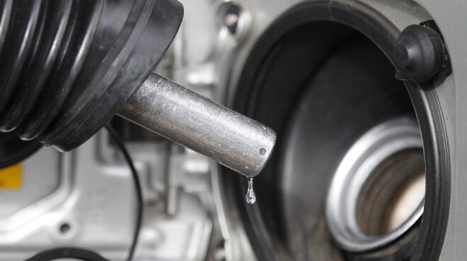 ρωσία-αίρεται-η-απαγόρευση-εξαγωγής-β-562735153