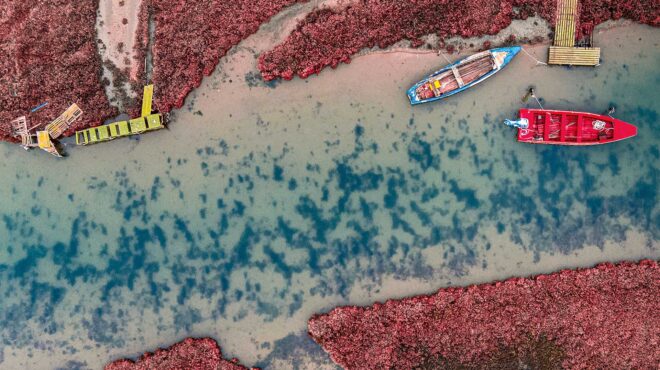 ταξίδι-στο-δέλτα-του-εβρου-έναν-βιότοπ-562747882