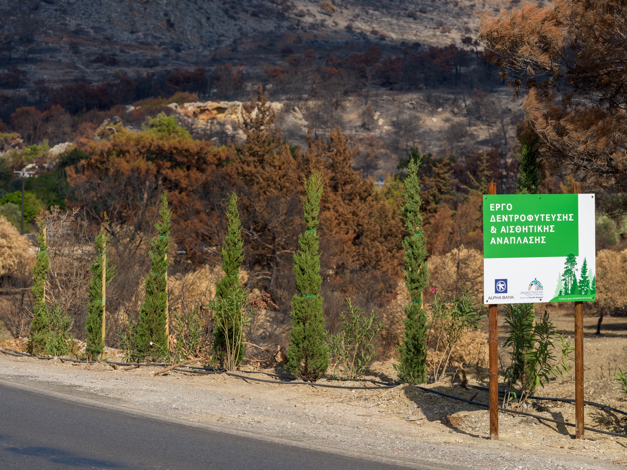 Η Alpha Bank πρωταγωνιστεί στην προστασία του Περιβάλλοντος-3