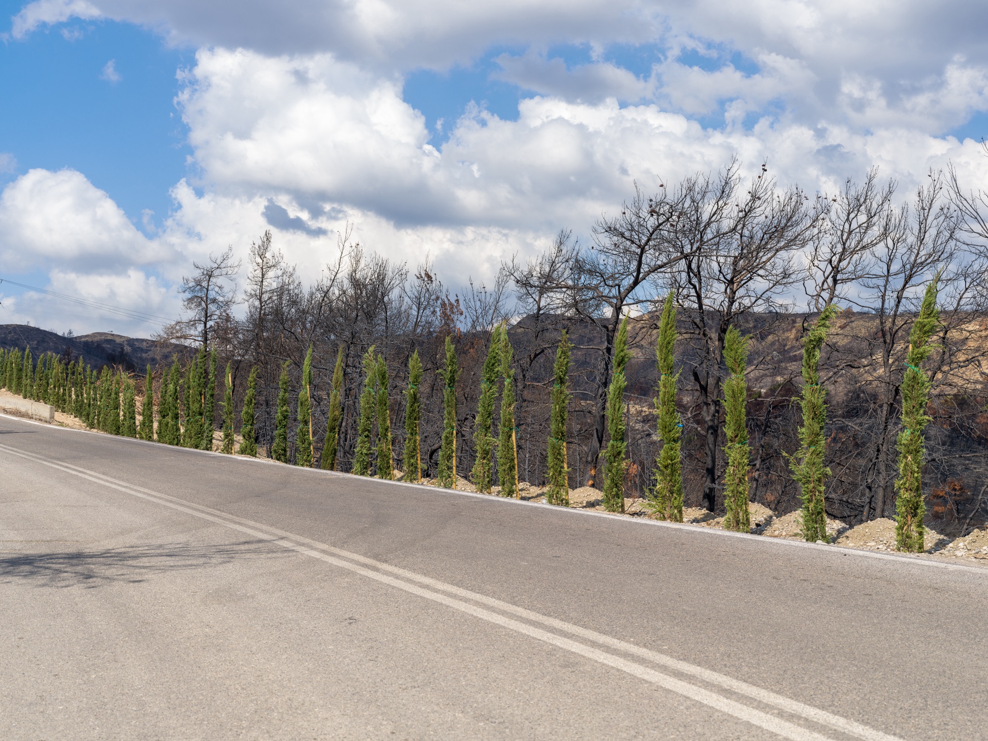 Η Alpha Bank πρωταγωνιστεί στην προστασία του Περιβάλλοντος-1