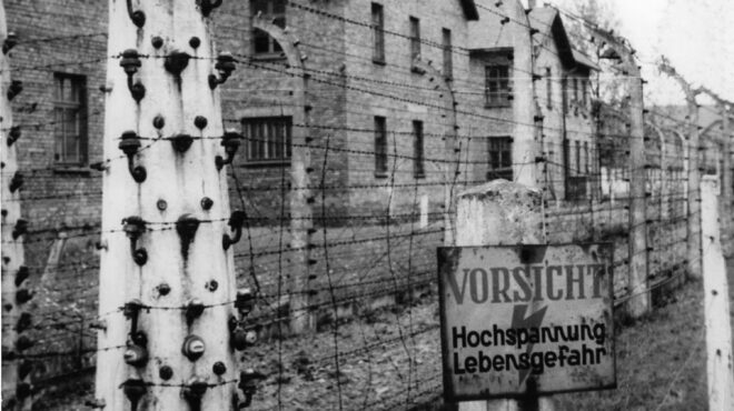 επέζησα-χάρη-στην-ορχήστρα-συναυλί-562747438