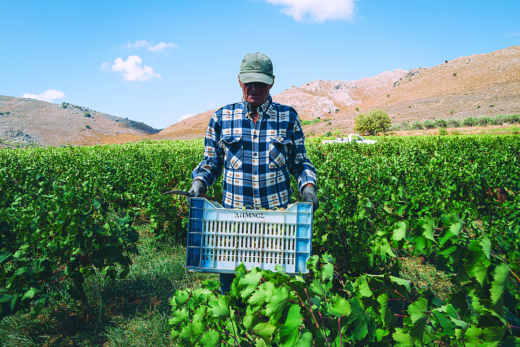Τα 16α βραβεία ποιότητας του Γαστρονόμου-7