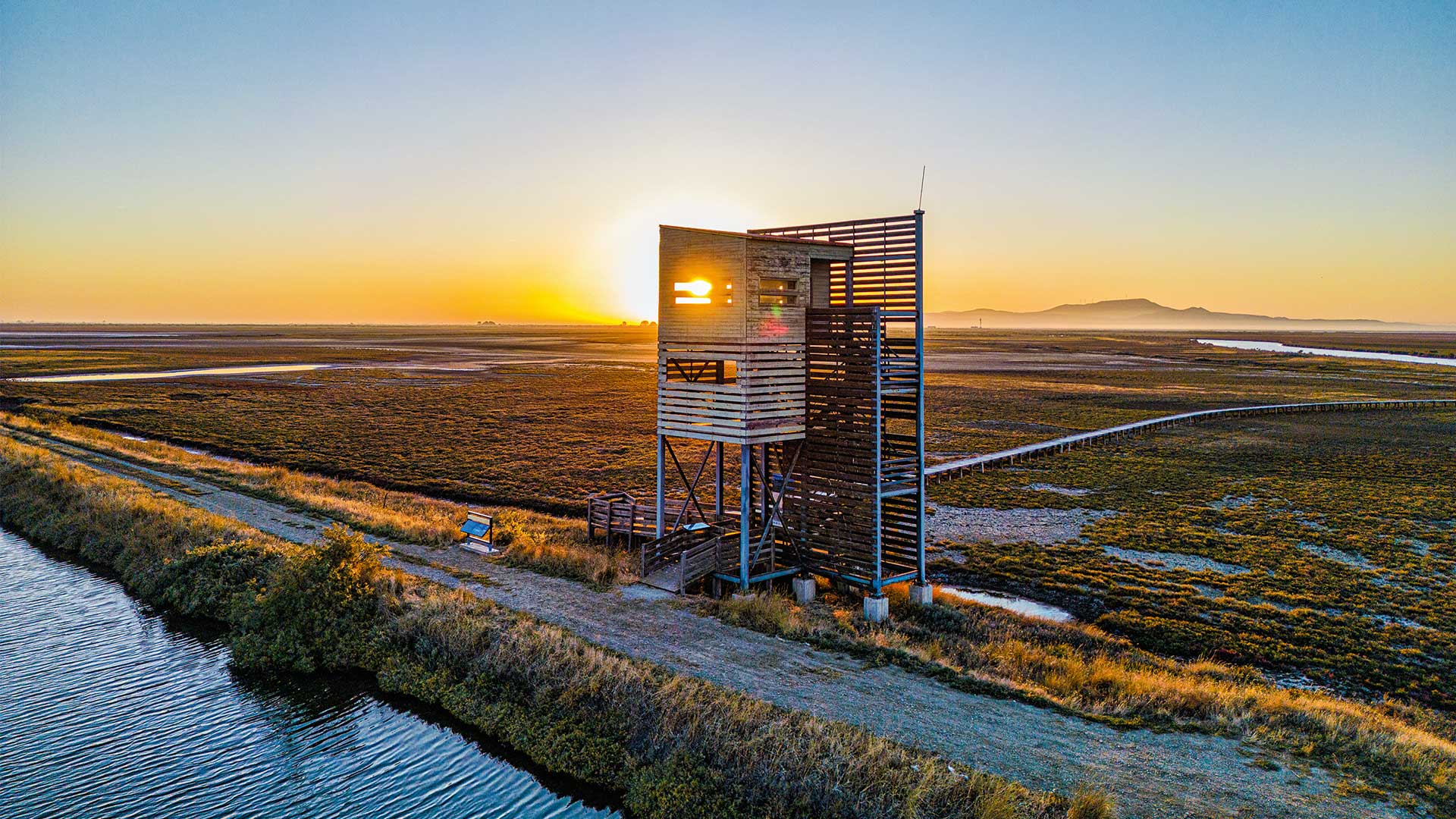 Ταξίδι στο Δέλτα του Εβρου, έναν βιότοπο παγκόσμιας σημασίας-4