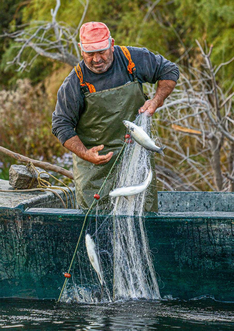 Ταξίδι στο Δέλτα του Εβρου, έναν βιότοπο παγκόσμιας σημασίας-5