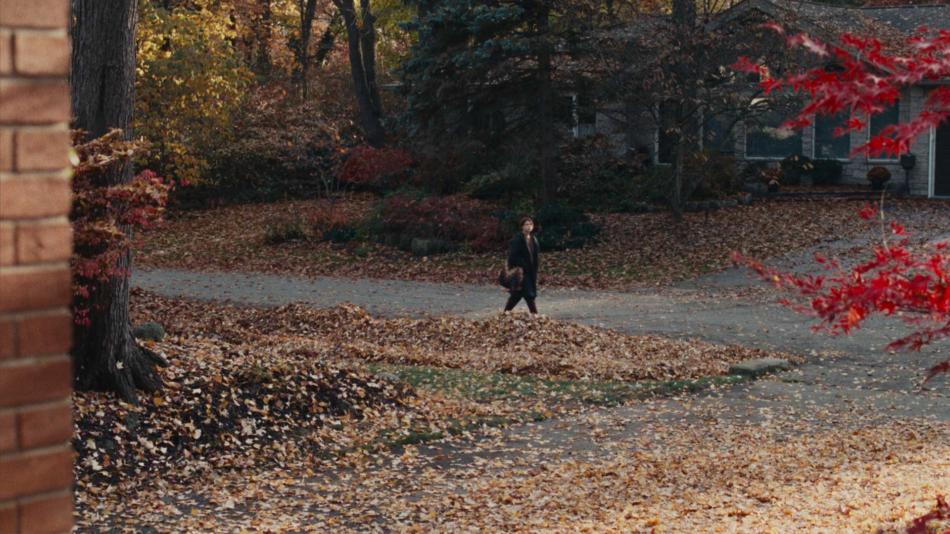 Χρήστος Νίκου: «Δεν τρελαίνομαι να με συγκρίνουν με τον Λάνθιμο»-2