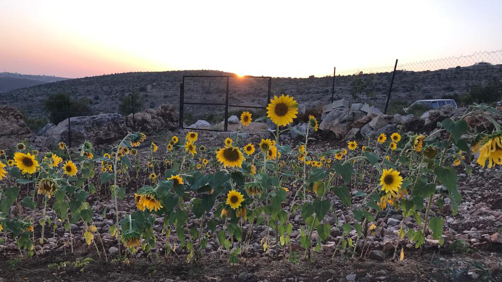 H ζωή στην Δυτική Οχθη μετά την επίθεση της 7ης Οκτωβρίου-2