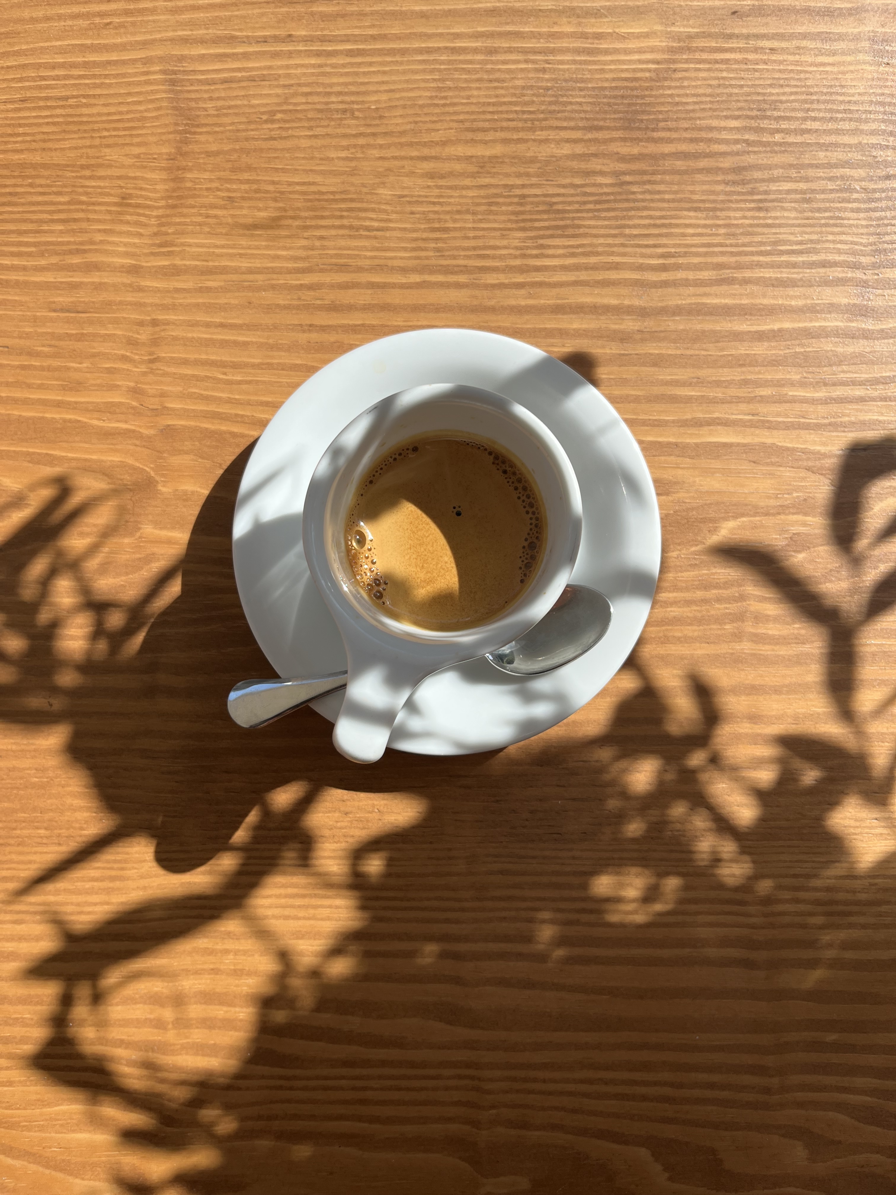 Τι μας έμαθε ο speciality; -2