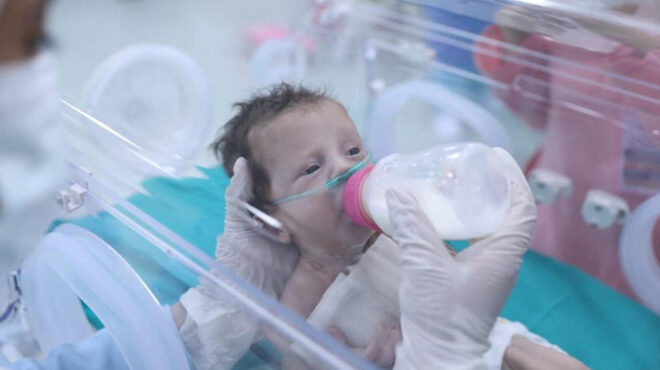 που-δύο-από-τα-πρόωρα-μωρά-του-αλ-σίφα-π-562740616