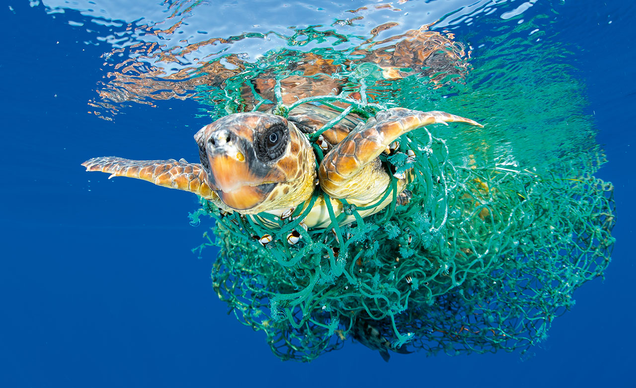 «Επιχείρηση Δίχτυα» από την Oris και την Bracenet-1