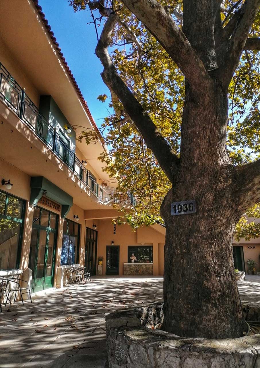 5 χωριά για φθινοπωρινές αποδράσεις κοντά στην Αθήνα-2