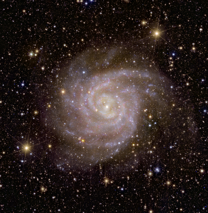 Διαστημικό τηλεσκόπιο Euclid: Eντυπωσιακή λήψη του νεφελώματος Κεφαλή του Αλόγου-2