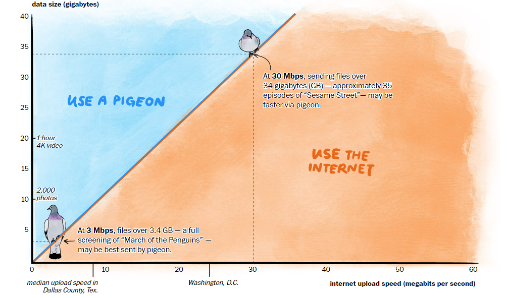 Τα περιστέρια εξακολουθούν να είναι ταχύτερα του ίντερνετ (κάποιες φορές)-1