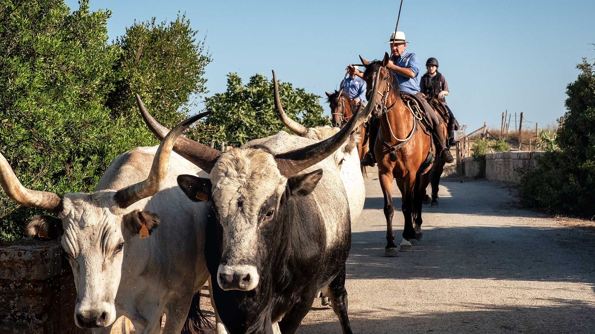 Maremma, η πιο αραιοκατοικημένη περιοχή της πιο διάσημης ιταλικής επαρχίας-3