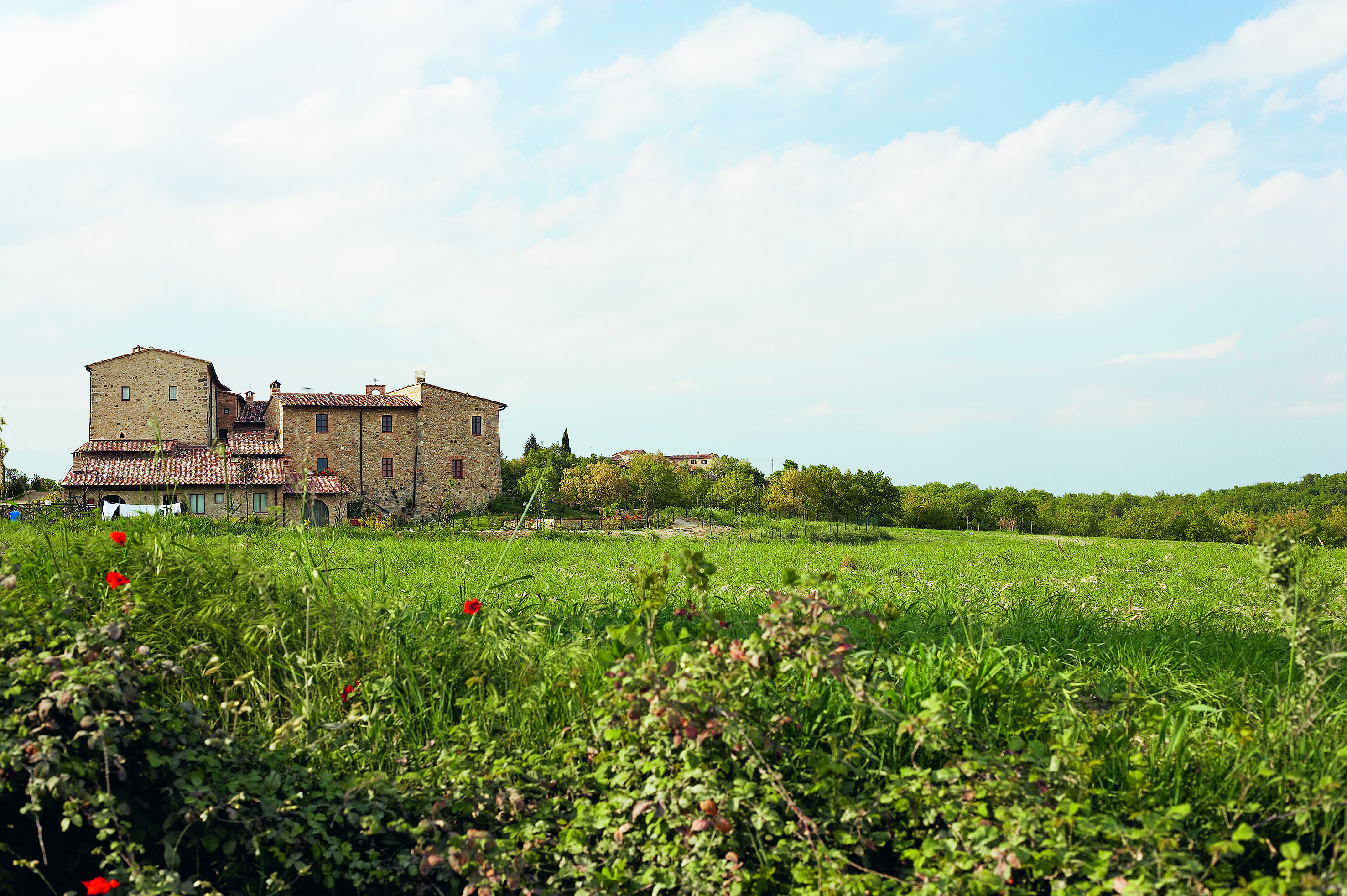 Τέσα Κίρος: Η διάσημη συγγραφέας αποκαλύπτει τα μυστικά του καλού γούστου-2