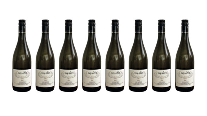 πώς-το-ασύρτικο-έφερε-πιο-κοντά-μία-οικ-562708285