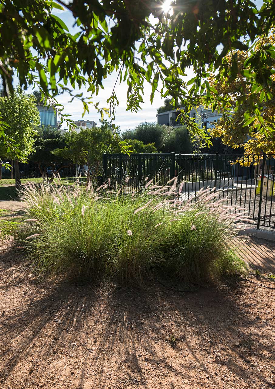 Πετράλωνα: Αξιολογούμε τις πλατείες της περιοχής-2