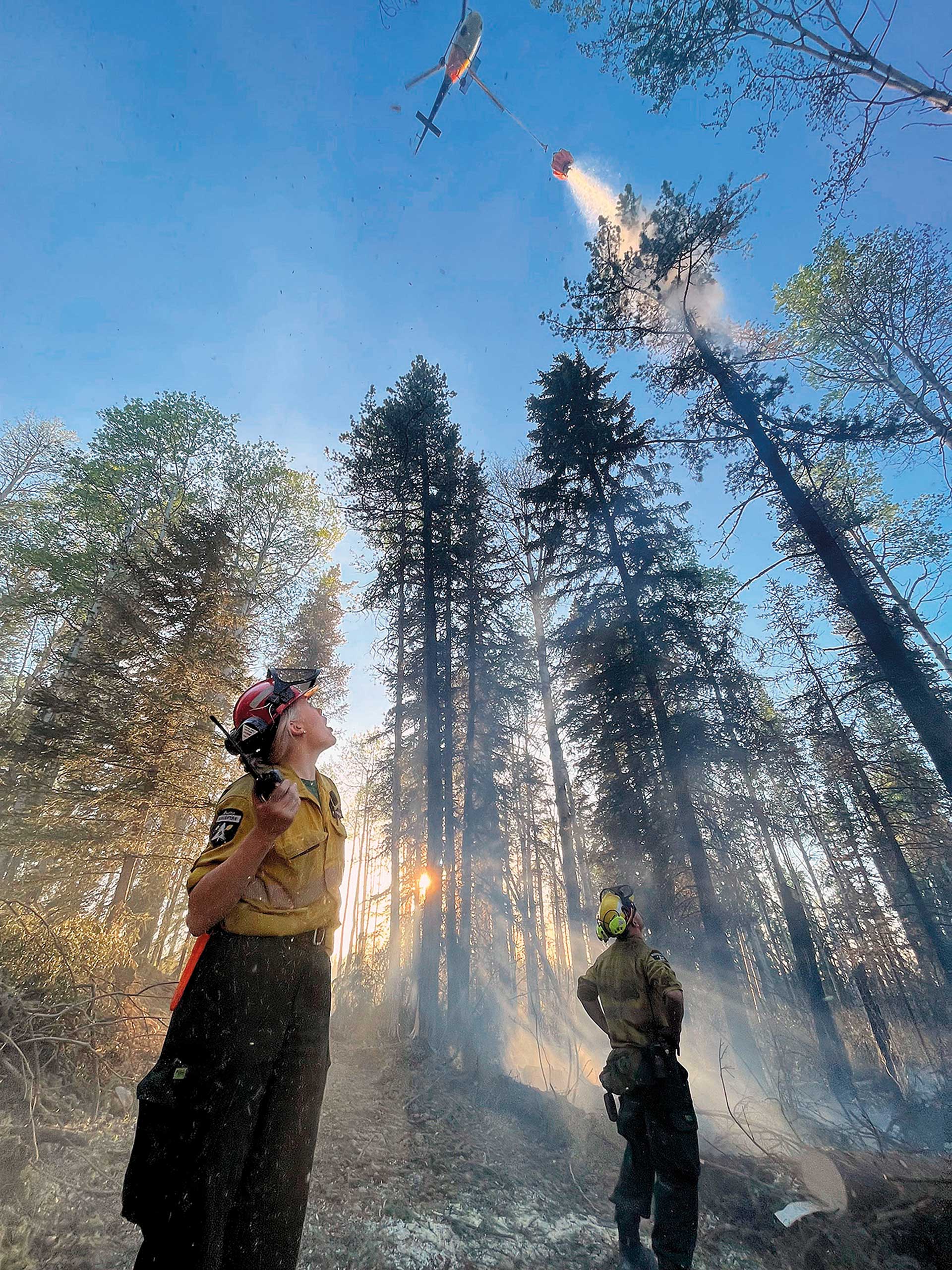 Πώς η τεχνητή νοημοσύνη μπορεί να σώσει τον πλανήτη (αντί να τον καταστρέψει)-2