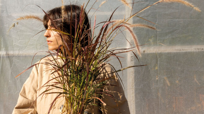 το-φυτό-που-θα-κάνει-τον-κήπο-σας-να-μοι-562758208