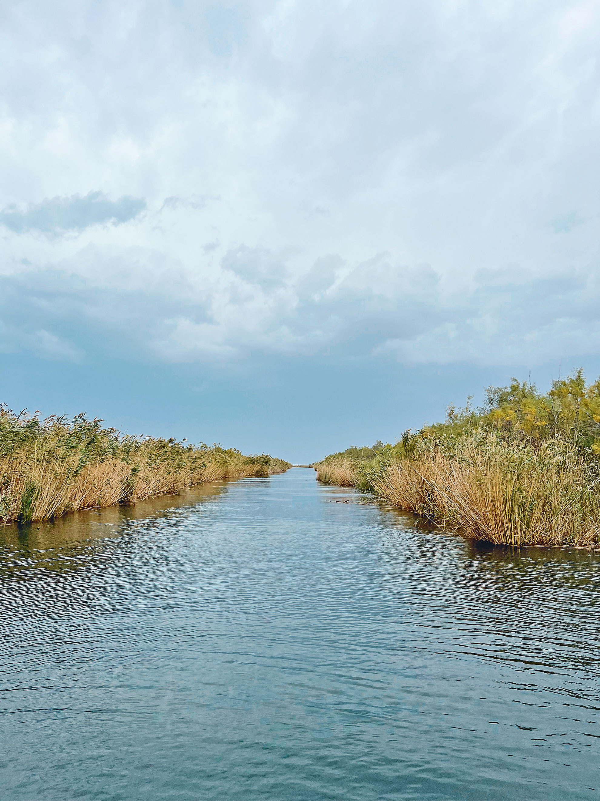 Φυσιολατρική βαρκάδα στα νερά του φθινοπωρινού Εβρου-1