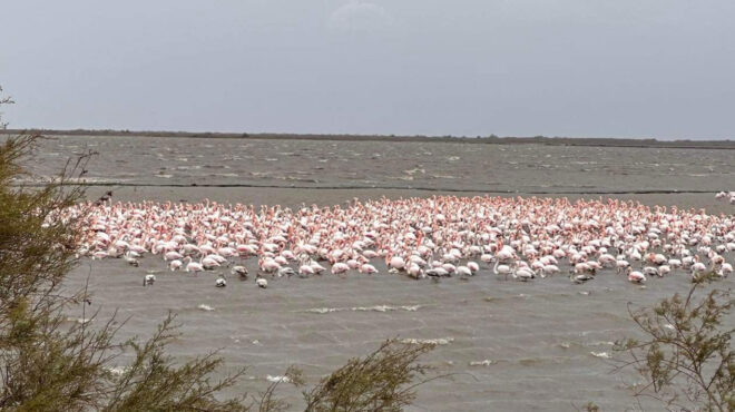 φυσιολατρική-βαρκάδα-στα-νερά-του-φθι-562716514