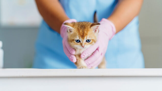 γιατί-η-υψηλή-φορολογία-βάζει-σε-κίνδυ-562734730