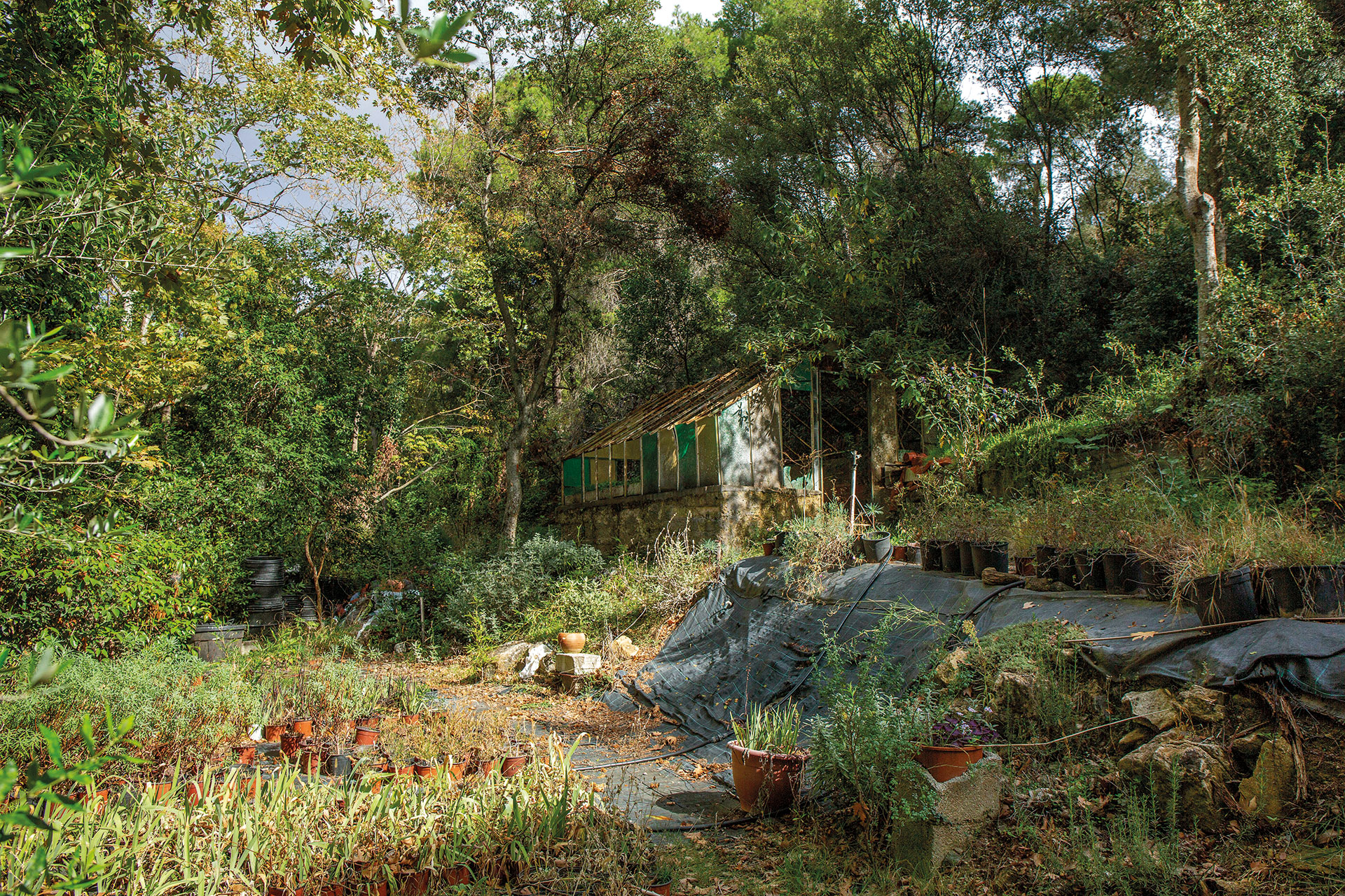 Στο Σπήλαιο Νταβέλη, στα χνάρια των μαρμάρων που «έχτισαν» τον Παρθενώνα-5