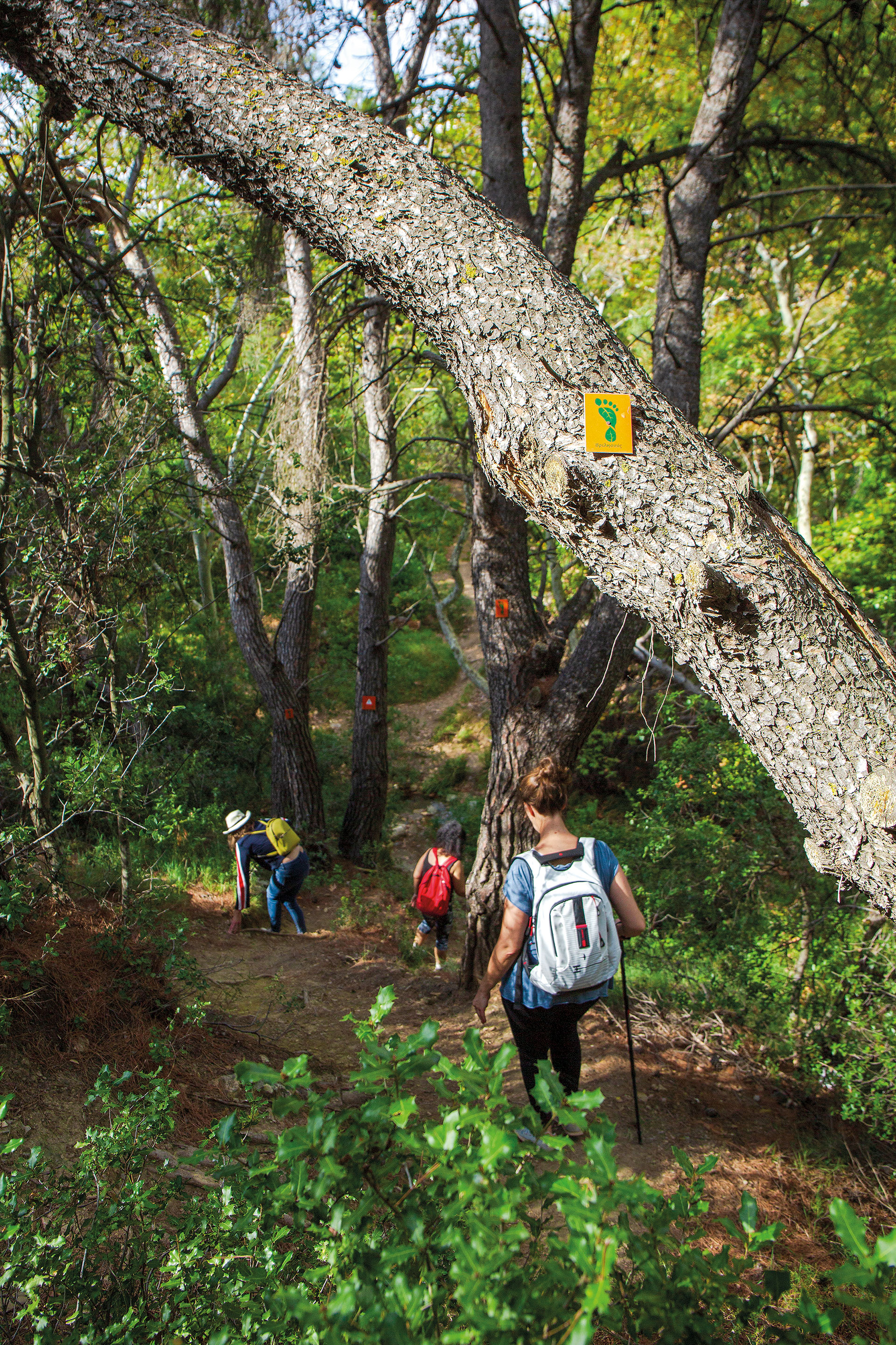 Στο Σπήλαιο Νταβέλη, στα χνάρια των μαρμάρων που «έχτισαν» τον Παρθενώνα-6