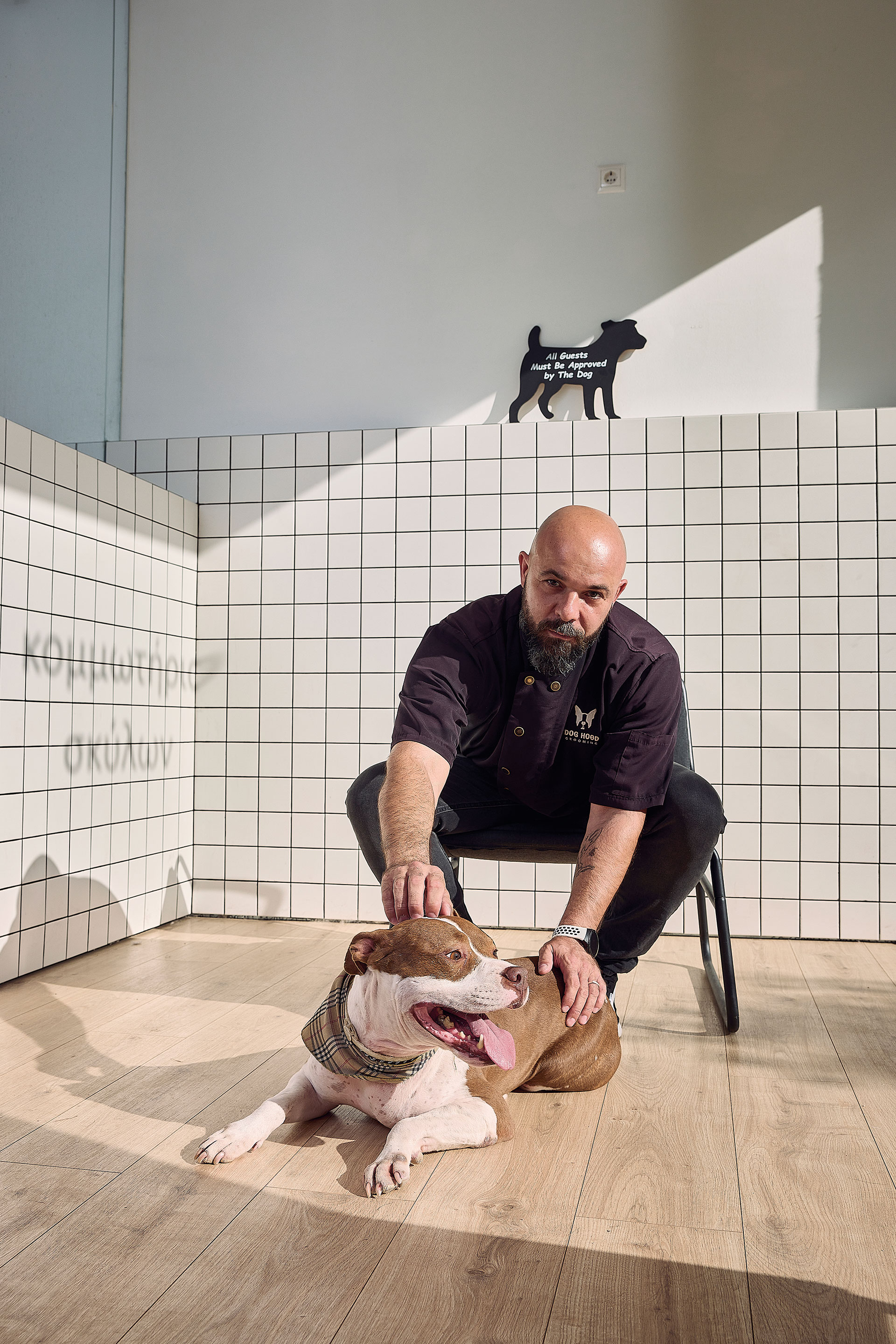 Κομμωτήρια σκύλων, η νέα μόδα που κατακλύζει την Αθήνα-3