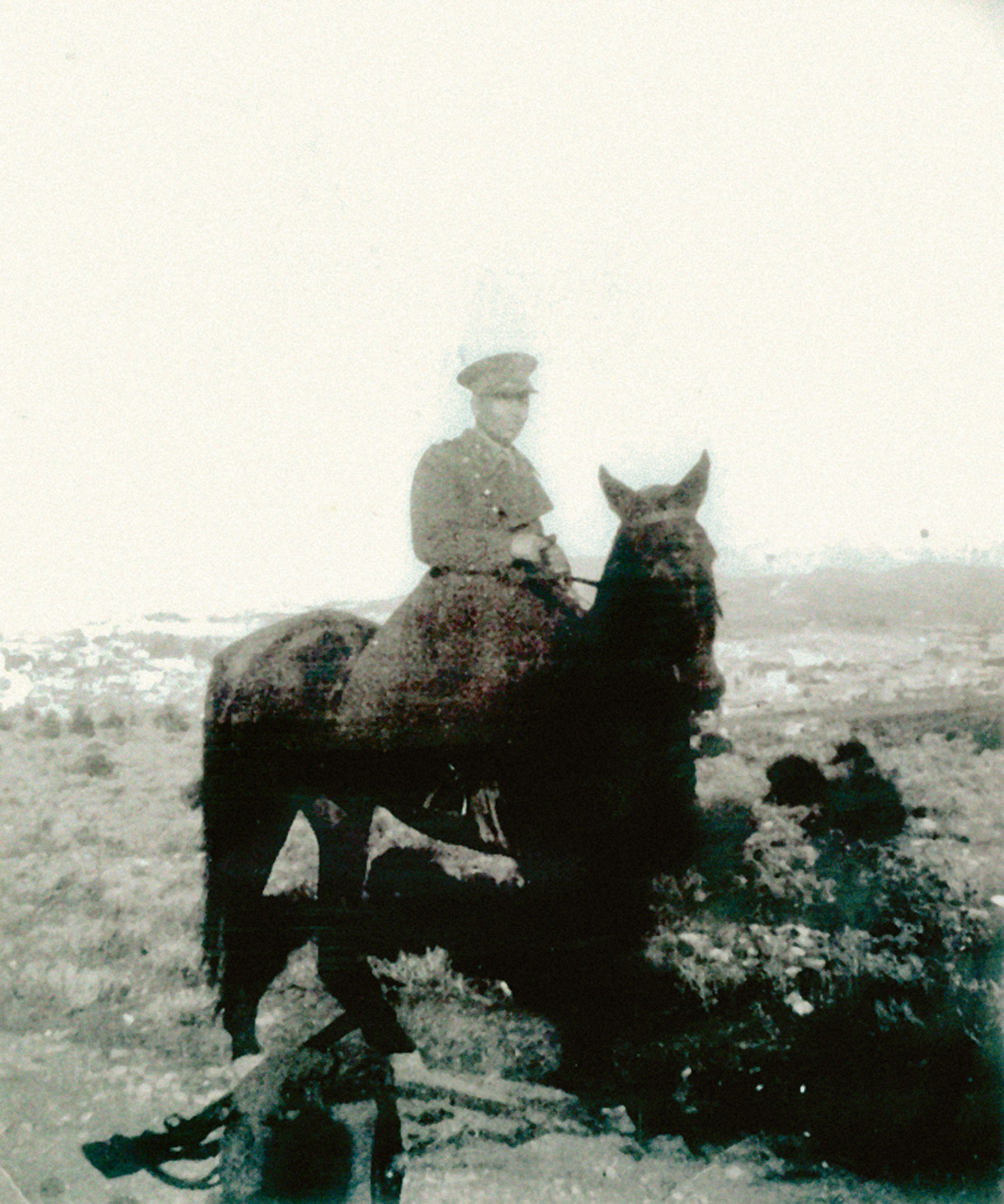 «Τη μεραρχία των Κρητών που θαύμαζε ο κόσμος θα σας ειπώ τα πάθη μας να σας επιάσει πόνος»-11