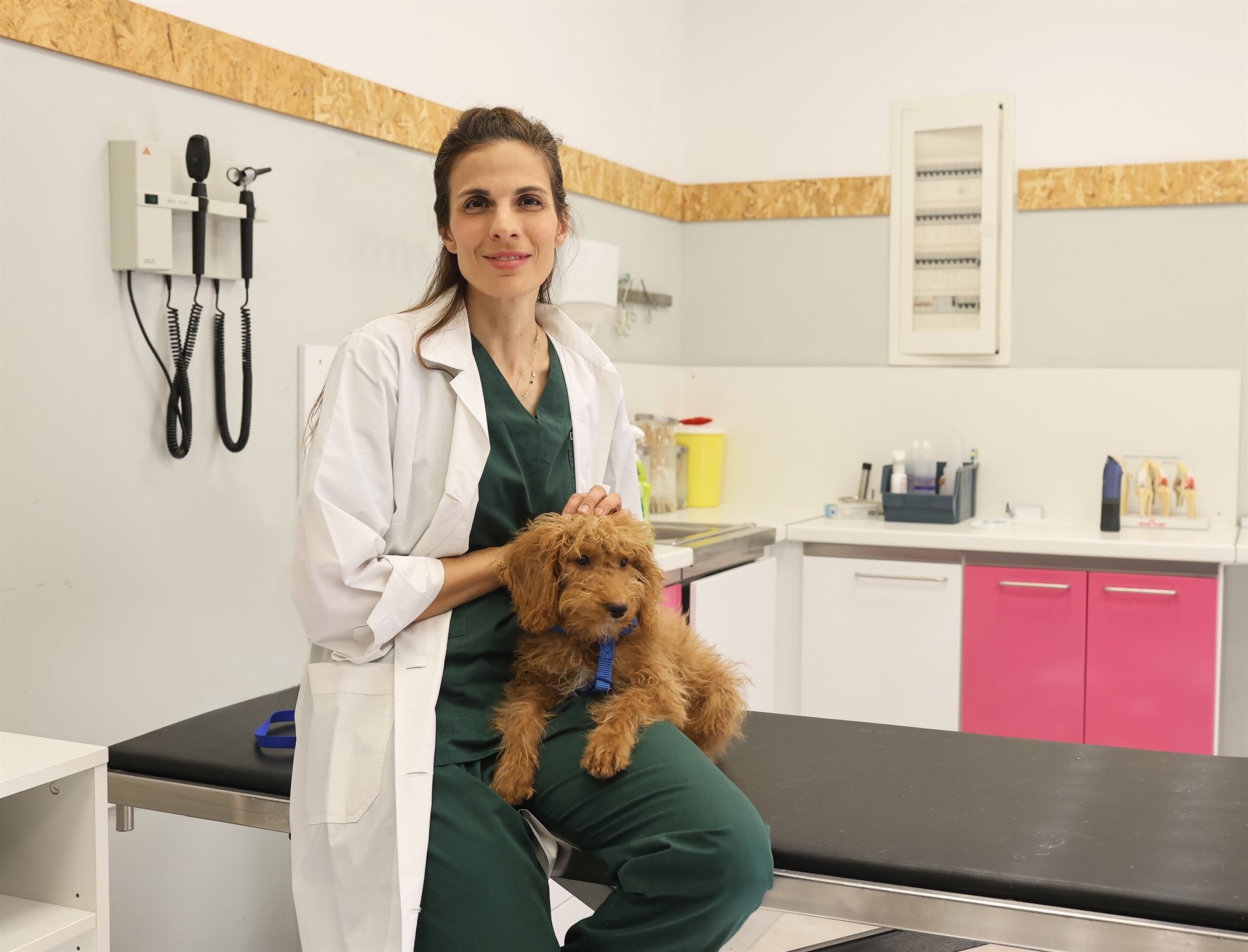 Ποιος γιατρός κάνει κάθε μέρα ευθανασίες;-1