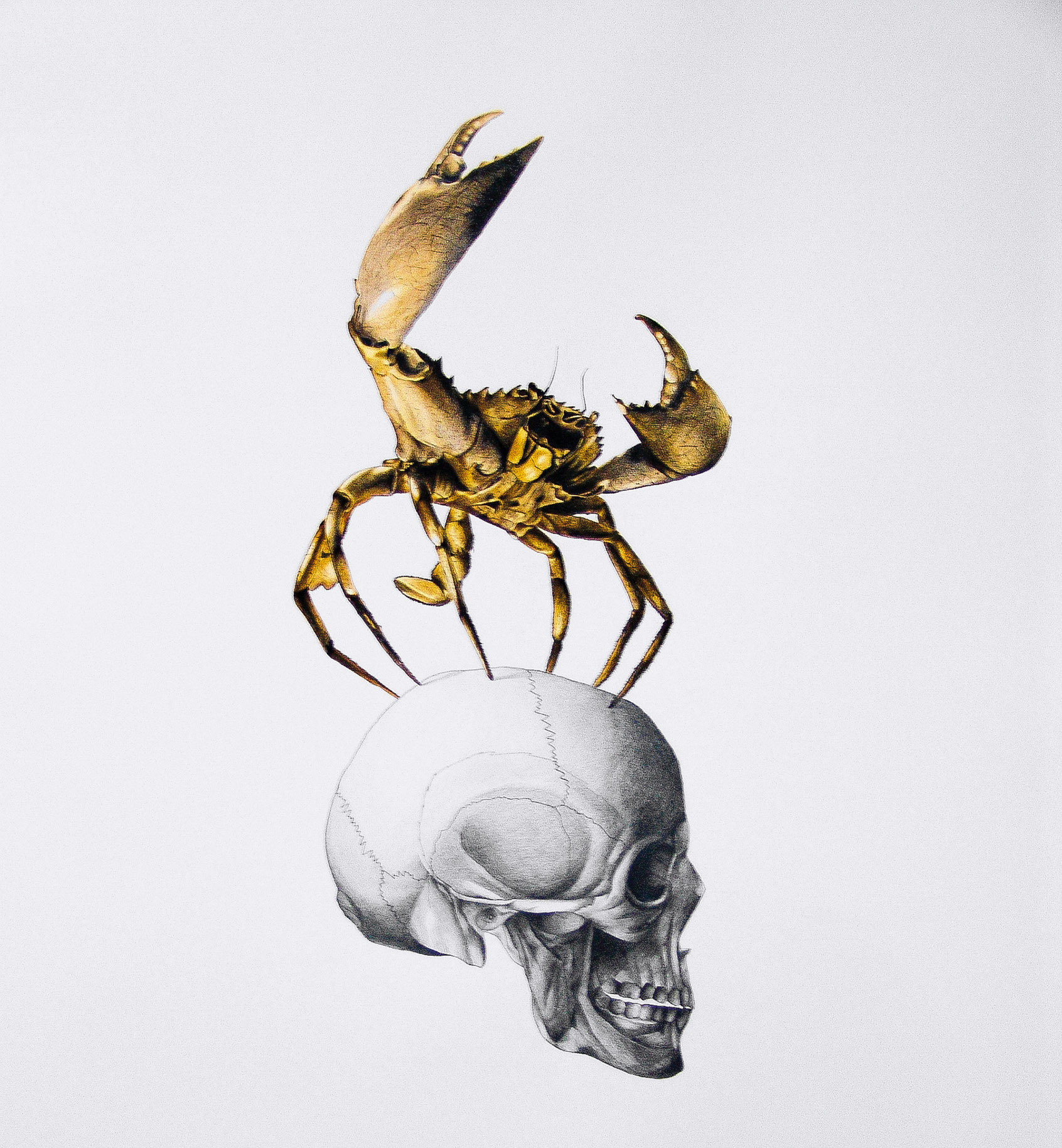 Τέχνη που βγάζει τη γλώσσα στον θάνατο-5