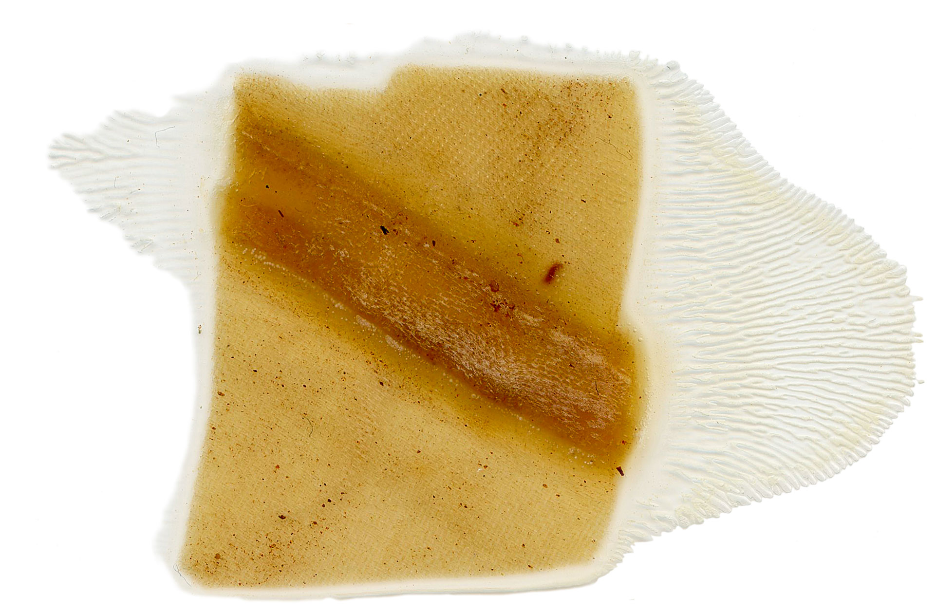 «Έπεσε η Κορυτσά! Έπεσε η Κορυτσά! Τρέχαμε πέρα-δώθε, φωνάζοντας δυνατά και το: Αέρα! Αέρα! Ιταλοί!»-15