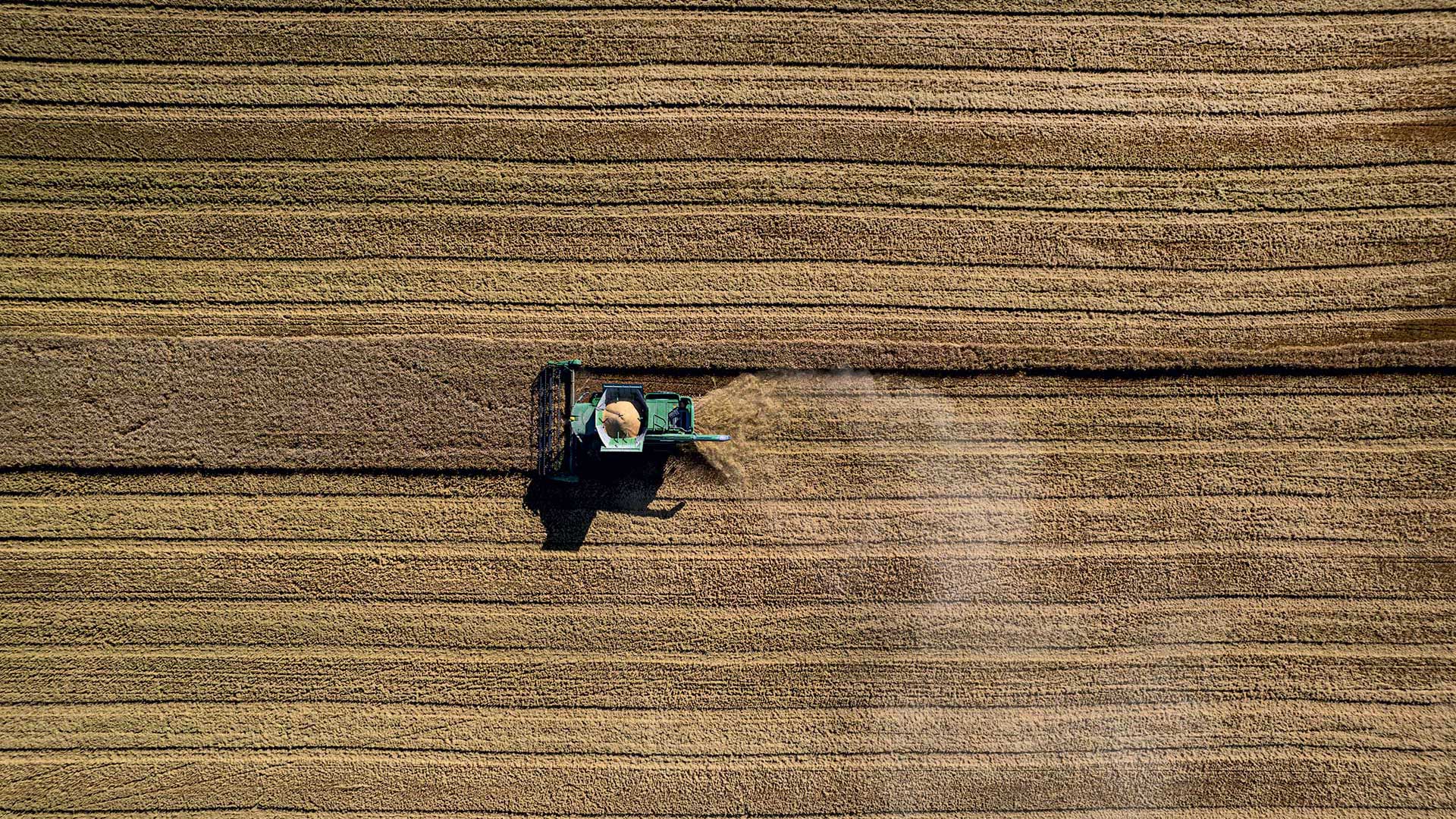 Πώς οι αλγόριθμοι αλλάζουν το μέλλον της ελληνικής γεωργίας-5