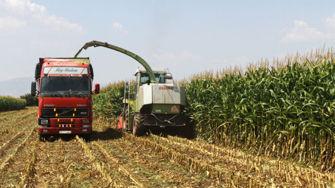η-μεγάλη-ευκαιρία-του-θεσσαλικού-κάμπ-562729837