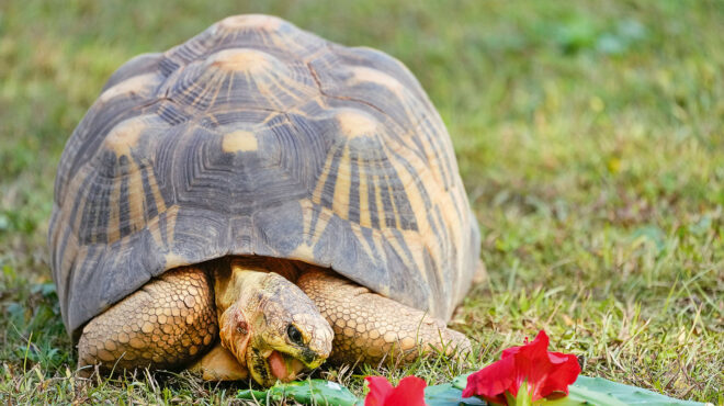 εκστρατεία-ενάντια-στο-τράφικινγκ-άγ-562703593