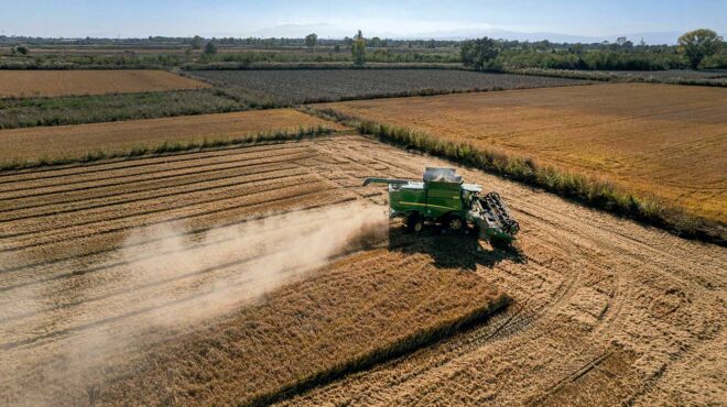 πώς-η-τεχνητή-νοημοσύνη-μπορεί-να-σώσε-562743208