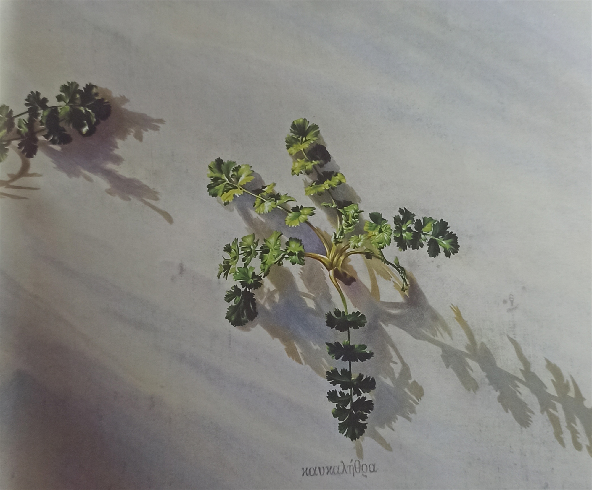 Mιχάλης Μακρουλάκης (1940-2023): ρωμαλέος χρωστήρας και τρυφερή ψυχή-3