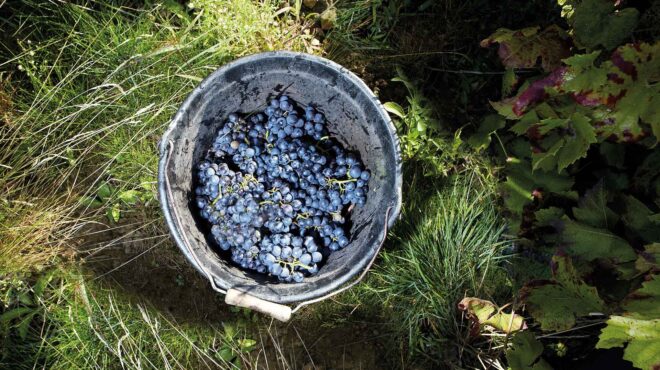 το-μυστικό-πίσω-από-το-διασημότερο-κρα-562721419
