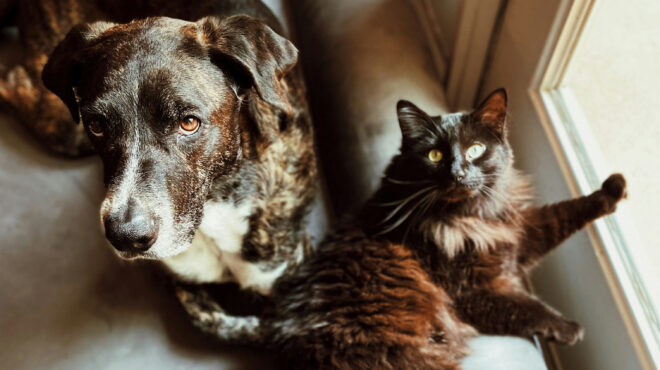 παπαστεργίου-τον-δεκέμβριο-η-πλατφό-562753339