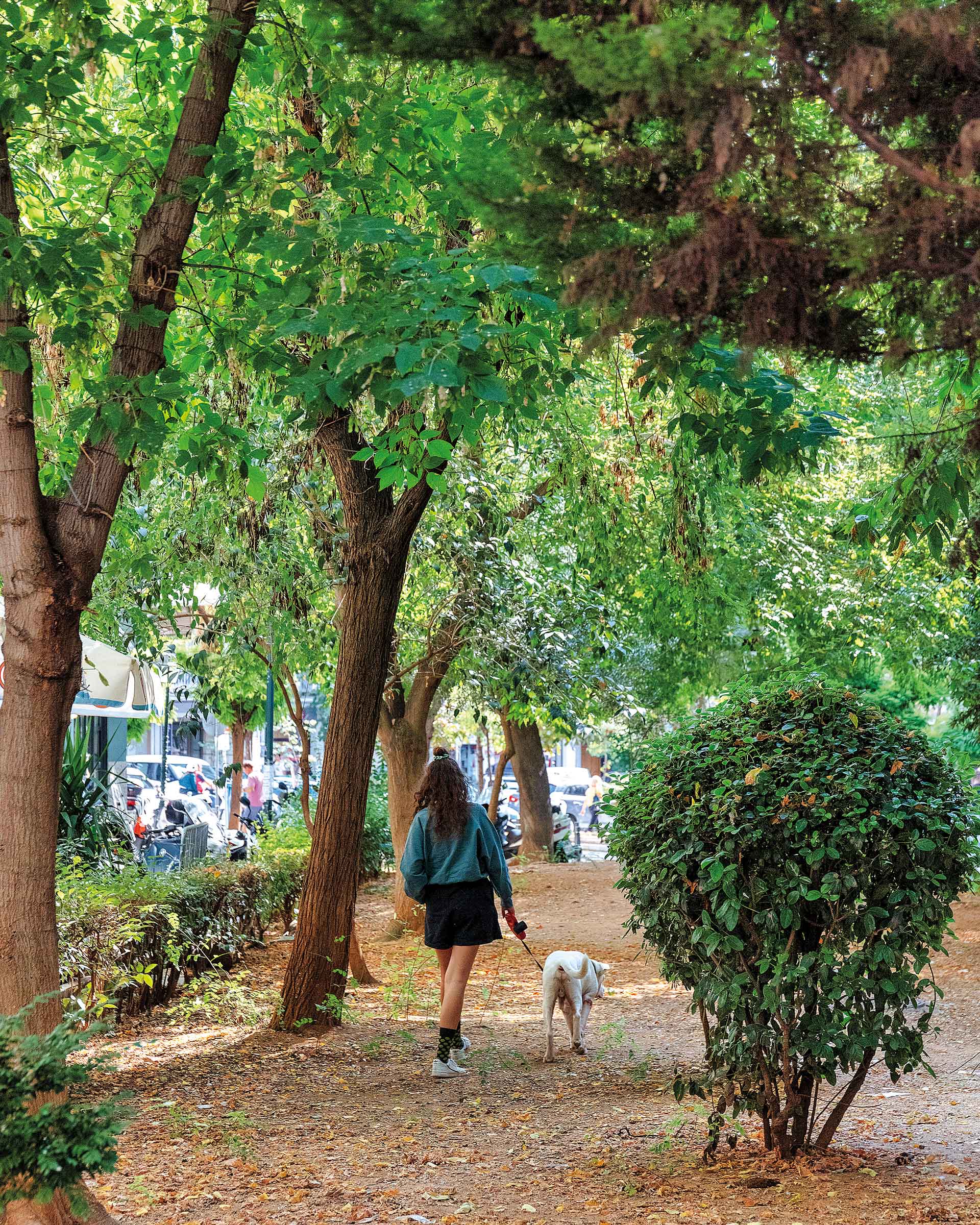 Η ανερχόμενη γειτονιά της Θεσσαλονίκης με το «καταραμένο» μυστικό-8