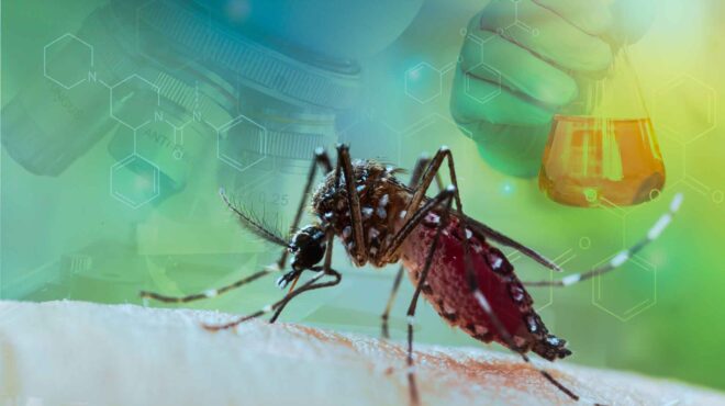 ιός-τσικουνγκούνια-πόσο-επικίνδυνος-562721227