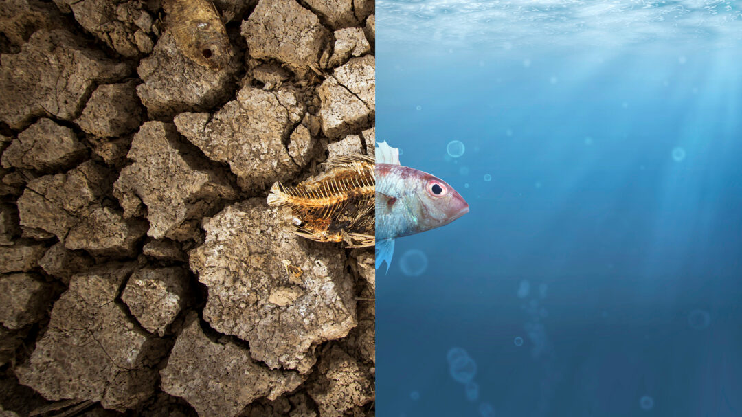 climategate-οι-φυλές-των-αρνητών-της-κλιματικ-562721566