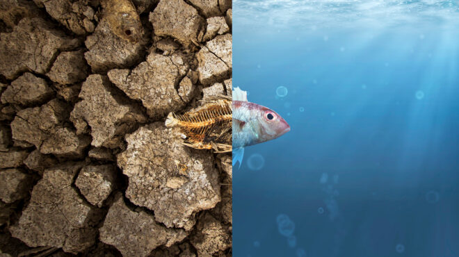 climategate-οι-φυλές-των-αρνητών-της-κλιματικ-562721566