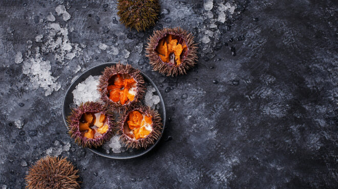 ιταλία-το-σπαγγέτι-ai-ricci-di-mare-απειλεί-με-εξαφ-562752199