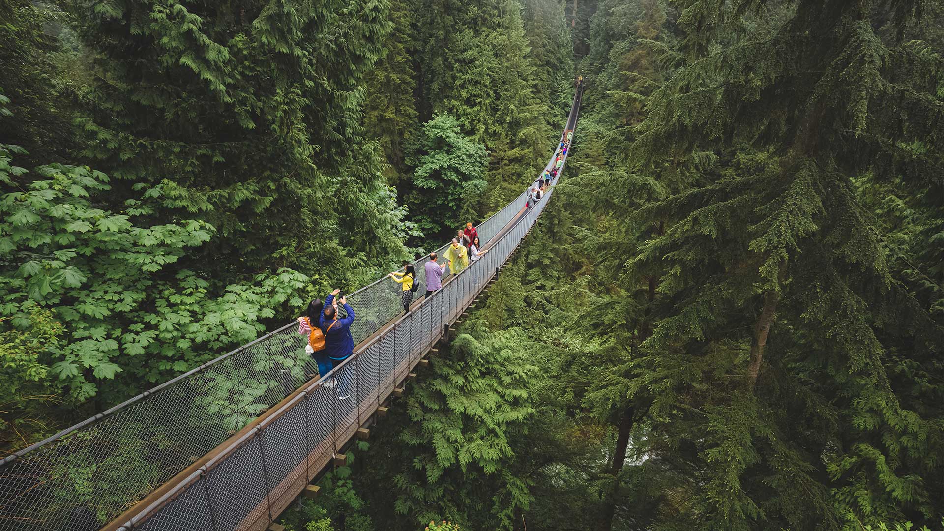Οι 10 πιο τρομακτικές γέφυρες στον κόσμο-5