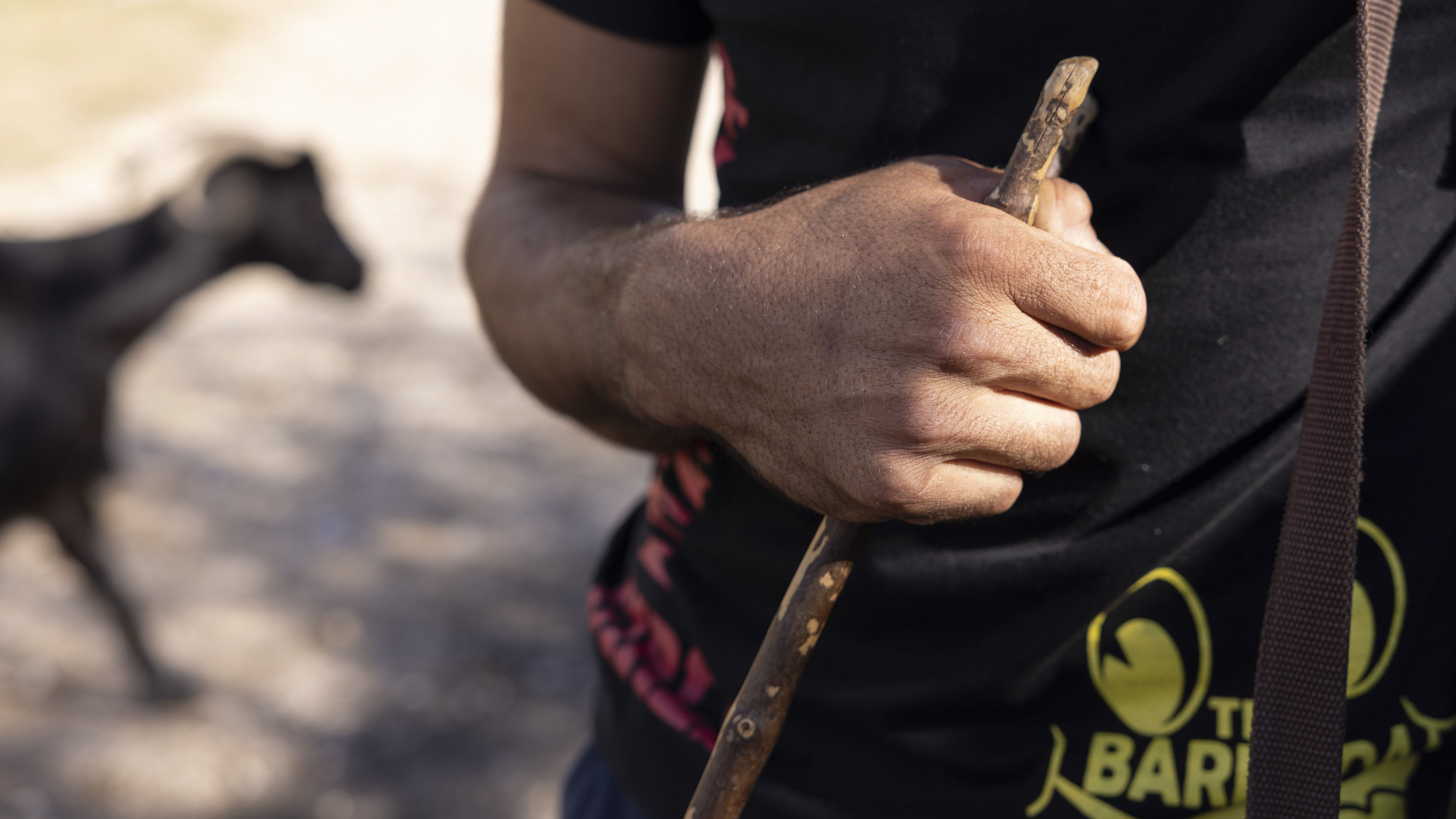 «Εμείς είμαστε οι τελευταίοι βοσκοί»-3