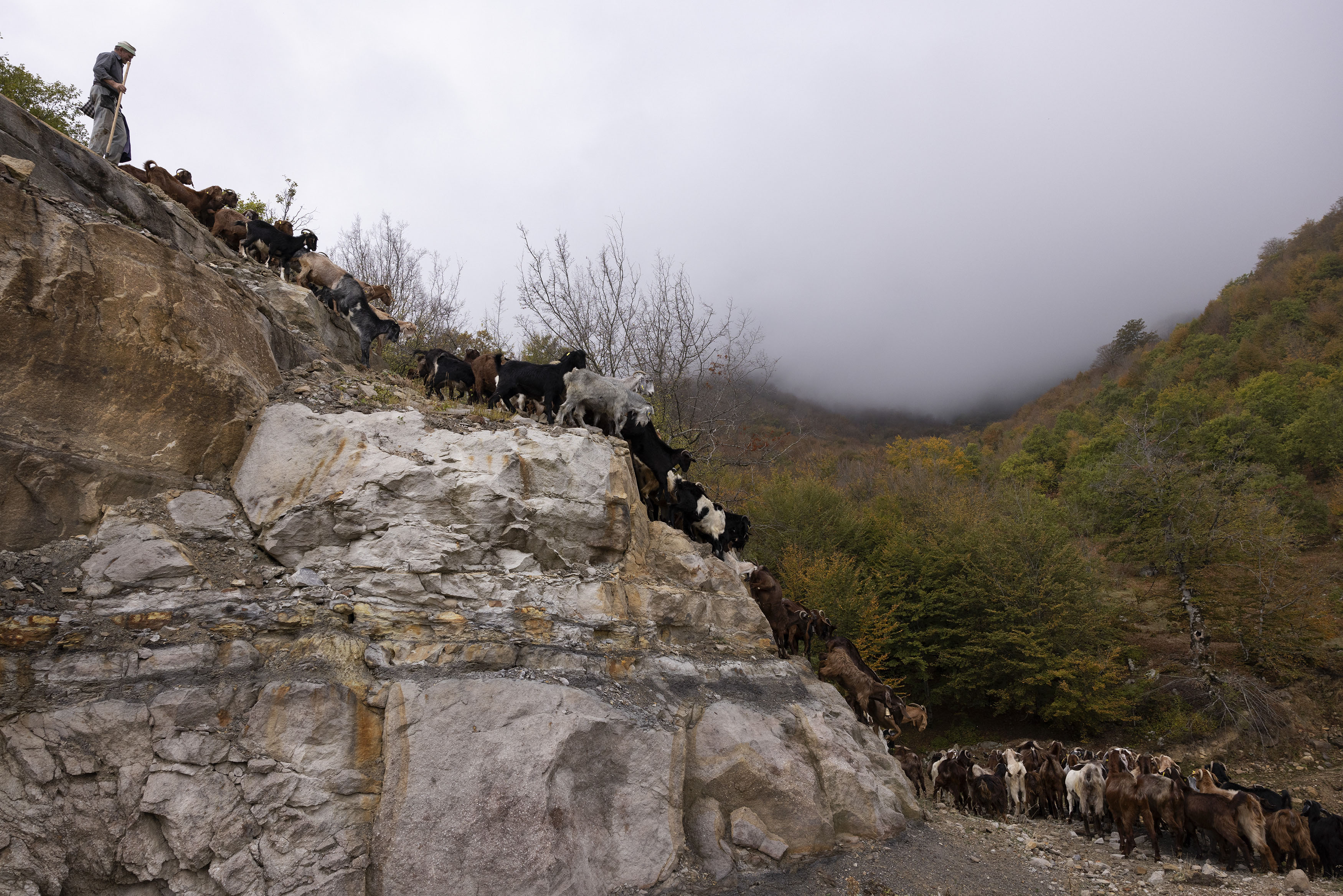 «Εμείς είμαστε οι τελευταίοι βοσκοί»-4