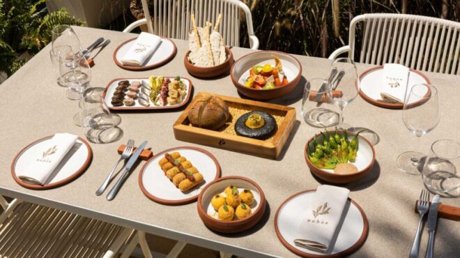 zohόs-σε-ποια-αυλή-της-πλάκας-φύτρωσε-και-τ-562703248